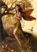Woody Nymph P.M.