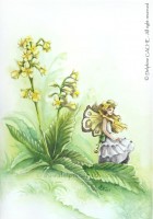 Aquarelle Originale 