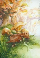 Aquarelle Originale 