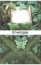Carte Anne Stokes - Birthday Oak King