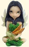 Fairy Frog Friend
