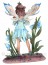 F&eacute;e "Blue Poppy Faerie"