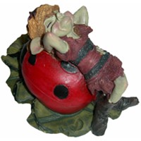 Pixie sur Coccinelle Pixies avec Animaux