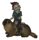 Pixie avec Marmotte Pixies avec Animaux