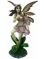 F�e des Orchid�es F�es Fairy Dreams