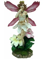 F�e des Fleurs F�es Fairy Dreams