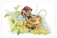 Lutin et Grenouille