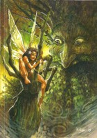 Healing Fairy Journal