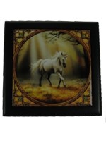 Coffret Glimps of a Unicorn