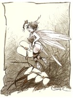 La F&eacute;e 11