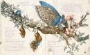 Livre "Les Cahiers enchant&eacute;s de Lily Rose Poddington"