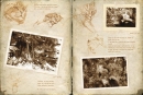 Livre "Carnet de Croquis"