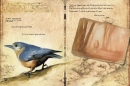Livre "La petite Faiseuse"