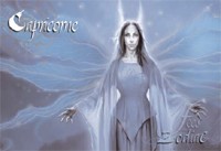 Magnet F�e du Zodiaque Capricorne Magnets F�eriques