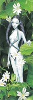 Marque Page Brucero - F�e aux Stellaires Marque-Pages F�eriques