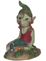 Mini Pixie Mini Pixies