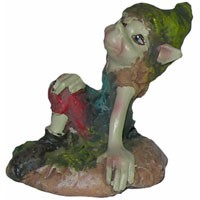 Mini Pixie Mini Pixies