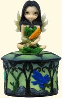 Coffret "Fairy Frog Friend"