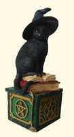 Black Cat Wishing Box