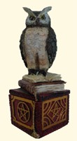 Wise Owl Wishing Box