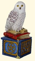 Hocus Pocus Wishing Box