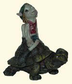 P'tit Pixie sur Tortue