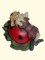 Pixie sur Coccinelle