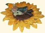 Pixie endormi dans tournesol