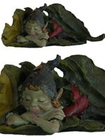 Pixie endormi dans une feuille