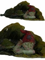 Pixie endormi dans une feuille
