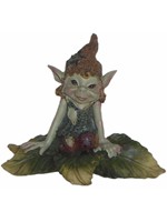 Pixie sur feuille Pixies et Nature