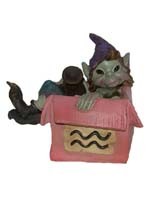 Pixie Zodiaque Verseau / Box