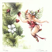 Reproduction Delphine Gache 