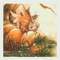 Reproduction Delphine Gache 