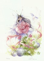 Reproduction Delphine Gache 