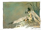 Songe d'une nuit d'&eacute;t&eacute;
