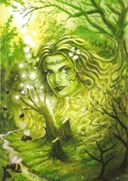 Springweaver Journal