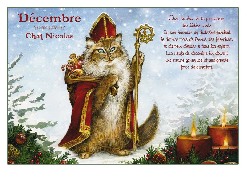 Carte Postale Chat D�cembre