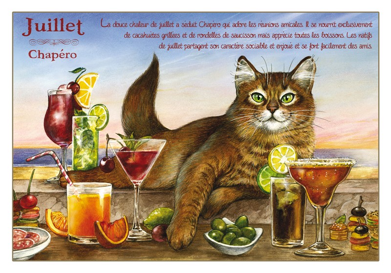 Carte Postale Chat Juillet Chapero