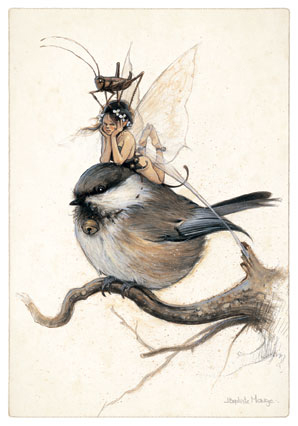 Carte Postale Fee Fee Sur Mesange