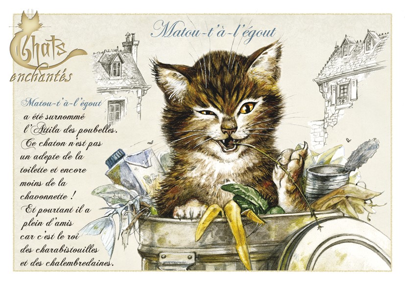 Carte Postale Chat Matou T A L Egout
